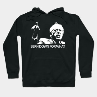 Bernie Sanders Bern Down For What Tee Hoodie